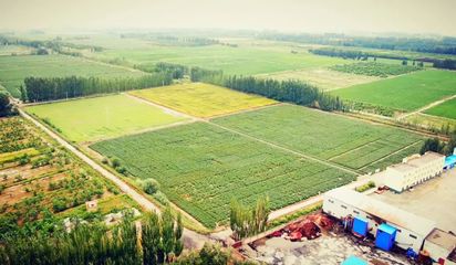 為種子保駕護(hù)航--新疆金豐源種業(yè)股份