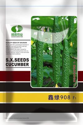供應(yīng)鑫綠908黃瓜,北京順鑫農(nóng)業(yè)股份耘豐種業(yè), 中國蔬菜網(wǎng)產(chǎn)品庫