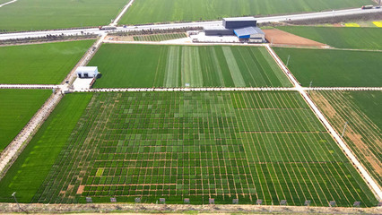 【牢記囑托 建成支點(diǎn)】扶輪農(nóng)業(yè):推動(dòng)種業(yè)創(chuàng)新 加速科技成果轉(zhuǎn)化