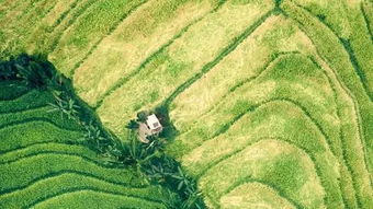 全球十大跨國種業(yè)巨頭將在第26屆農(nóng)高會(huì)楊凌國際種業(yè)創(chuàng)新論壇集中亮相