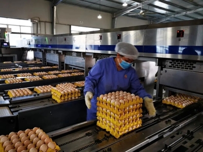 廣州入選國家級名單 種業發展獲國家認可