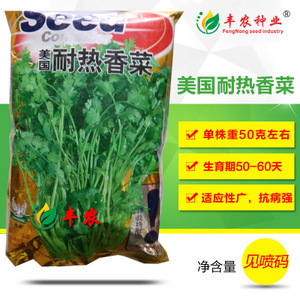 蔬菜香菜種子市場洞察 價格、供應商與種植前景