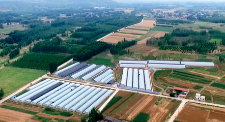 山東宇泰生物種業 聚焦種業創新，助力農業強國建設