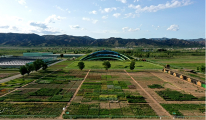 蒙草生態上市十周年 以種業為本，科研當先，深耕生態修復的“中國草”