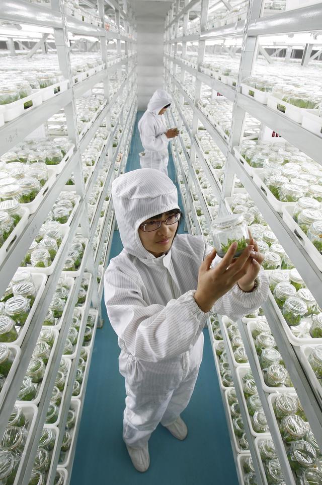 科技賦能 川蜀沃土育良種——四川推進畜禽種業自主創新的實踐與準備