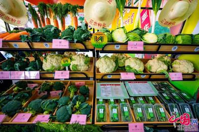 種業振興，改變世界 第二十九屆中國北京種業大會特色產品璀璨亮相