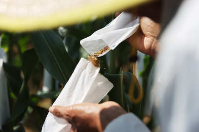 聚焦種業“破卡”，2021中國種子大會引領種業振興新篇章