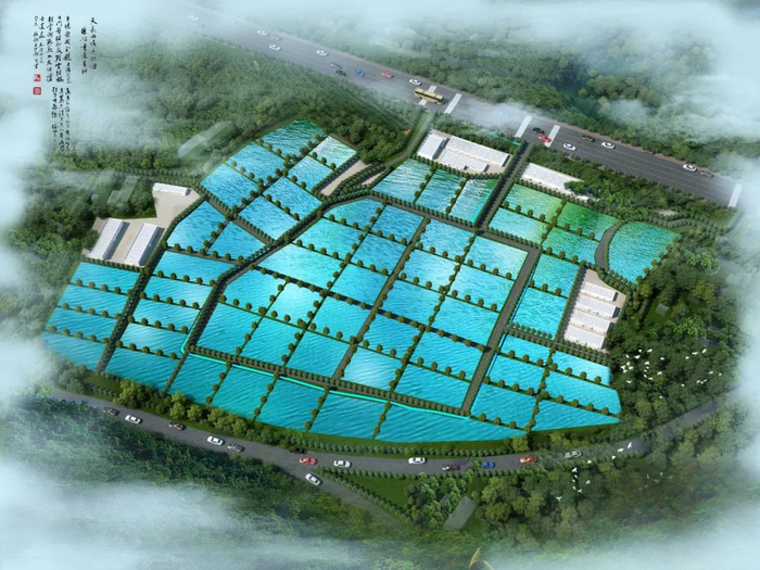 投資2.4億！水產巨頭落子九江，南?，F代水產種業迎來強勁新引擎