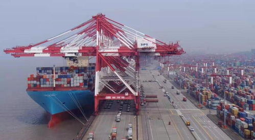 上?？诎痘蛴瓐髲托猿鲐洺保洿鷥疵蛨箨P再現