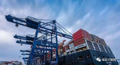 外貿(mào)貨代企業(yè)，是時(shí)候和伊朗業(yè)務(wù)說再見了